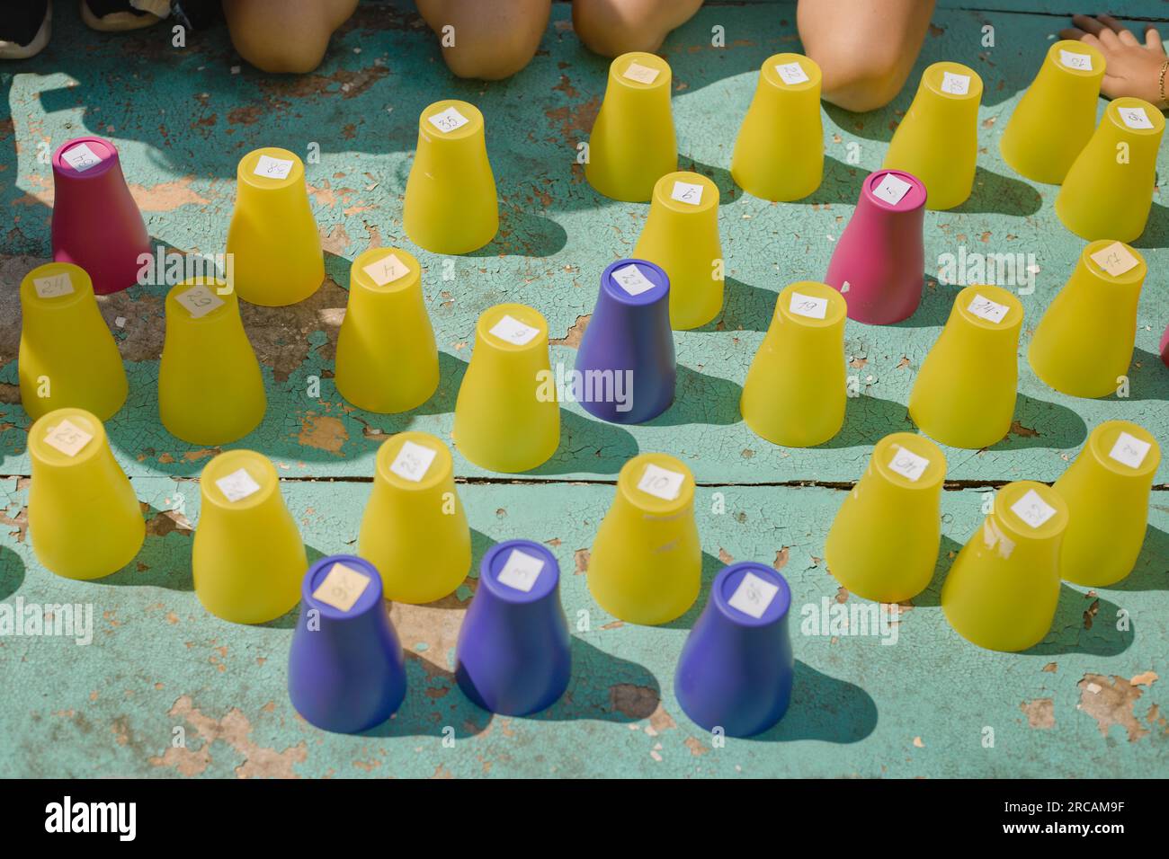 Plastic colored numbered cups turned upside down on a table prepared ...