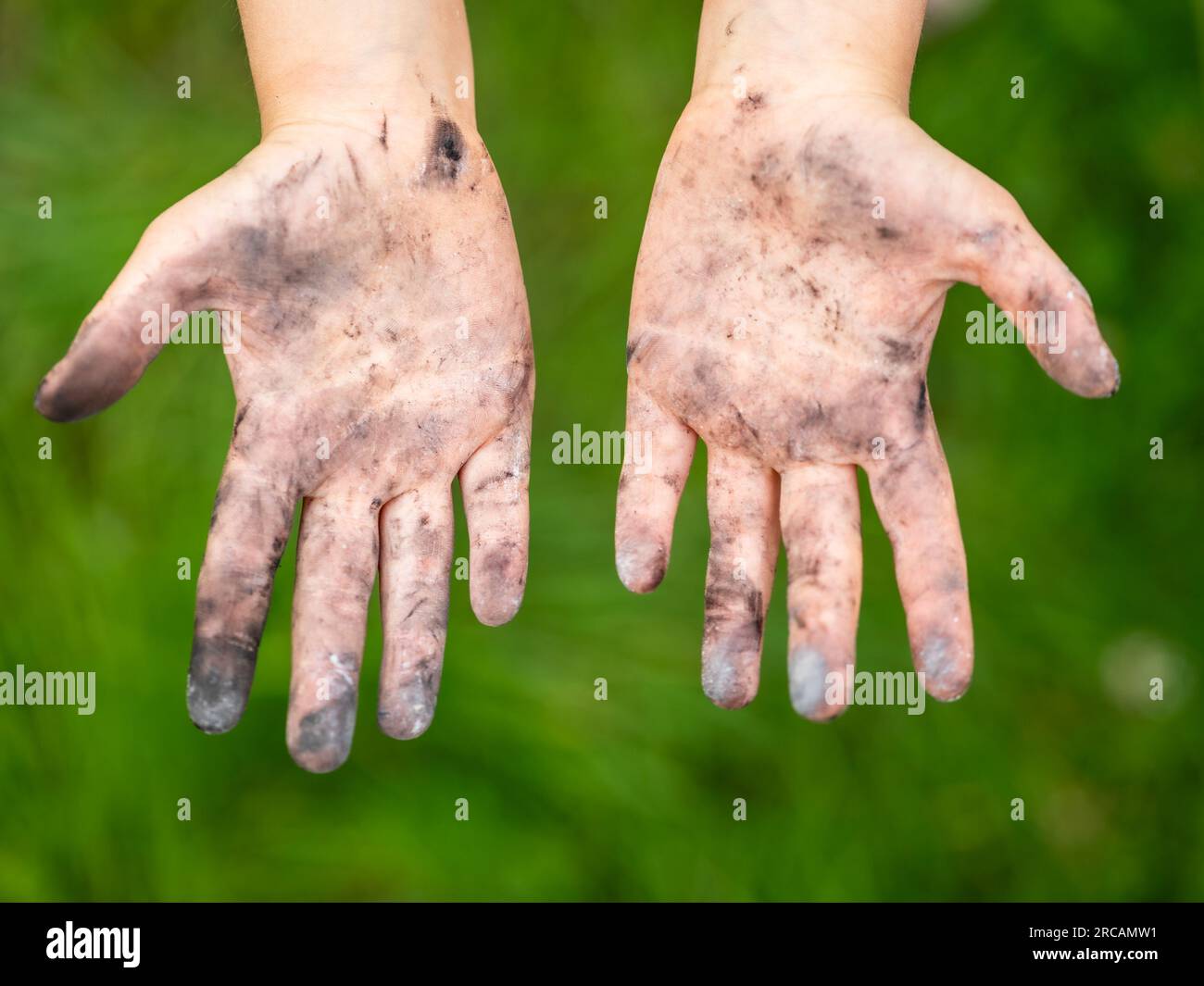 Little girl showing her dirty hands after outdoor activity. Hygiene