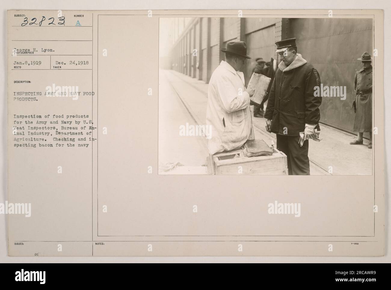 U.S. Meat Inspectors from the Bureau of Animal Industry, Department of Agriculture, inspecting bacon for the Navy during the inspection of army and navy food products. This photo was taken on January 8, 1919, as part of the process of ensuring quality and safety of food consumed by the military. Stock Photo