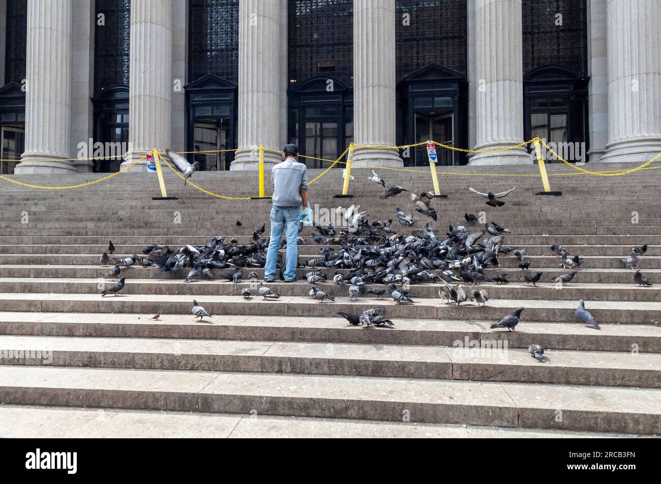 Feeding pigeons on the steps of the James Farley Post Office in New York on Sunday, July 2, 2023. (© Richard B. Levine) Stock Photo