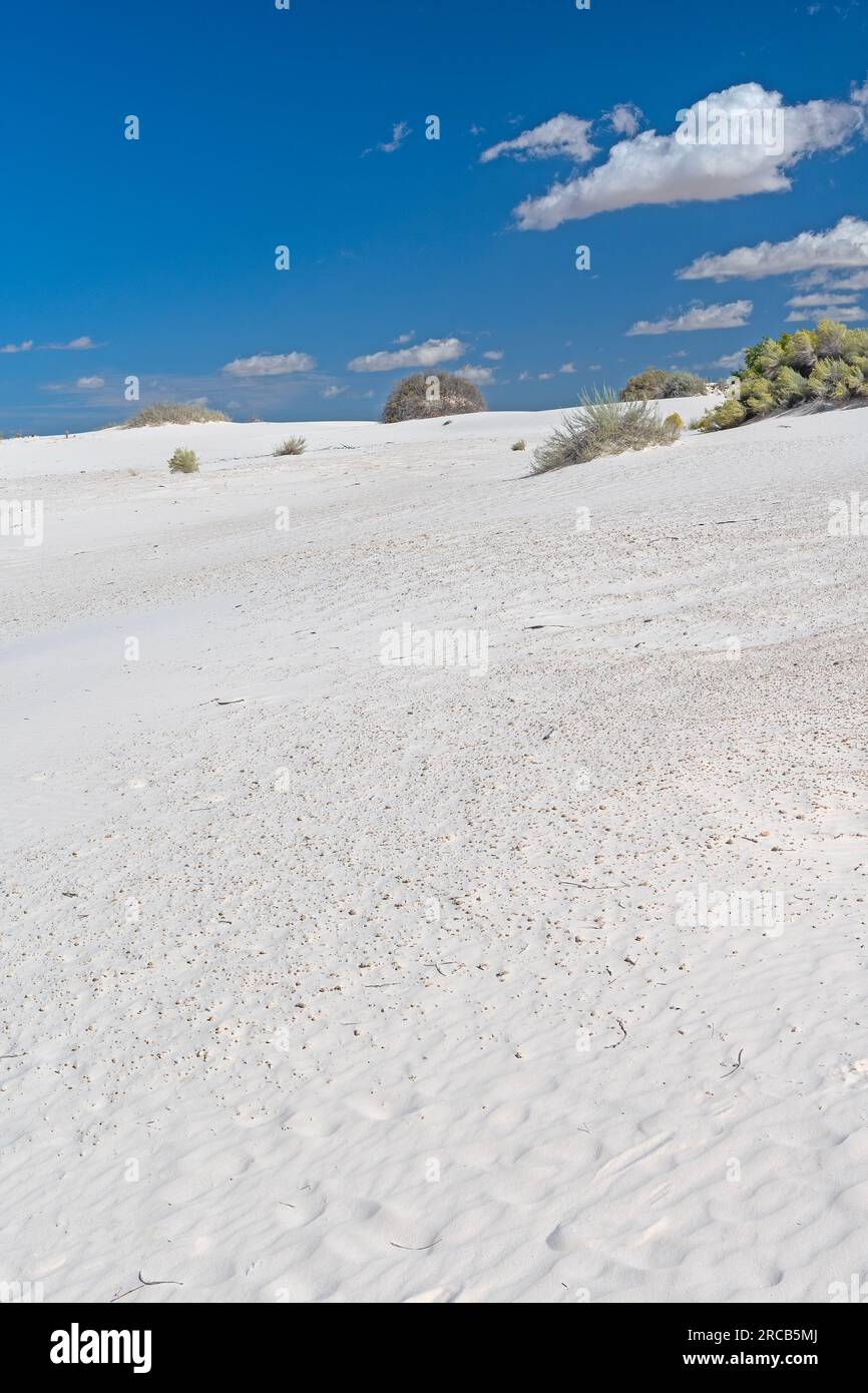 Unblemished White Sands on a Sunny Day in White Sands National Park in New Mexico Stock Photo