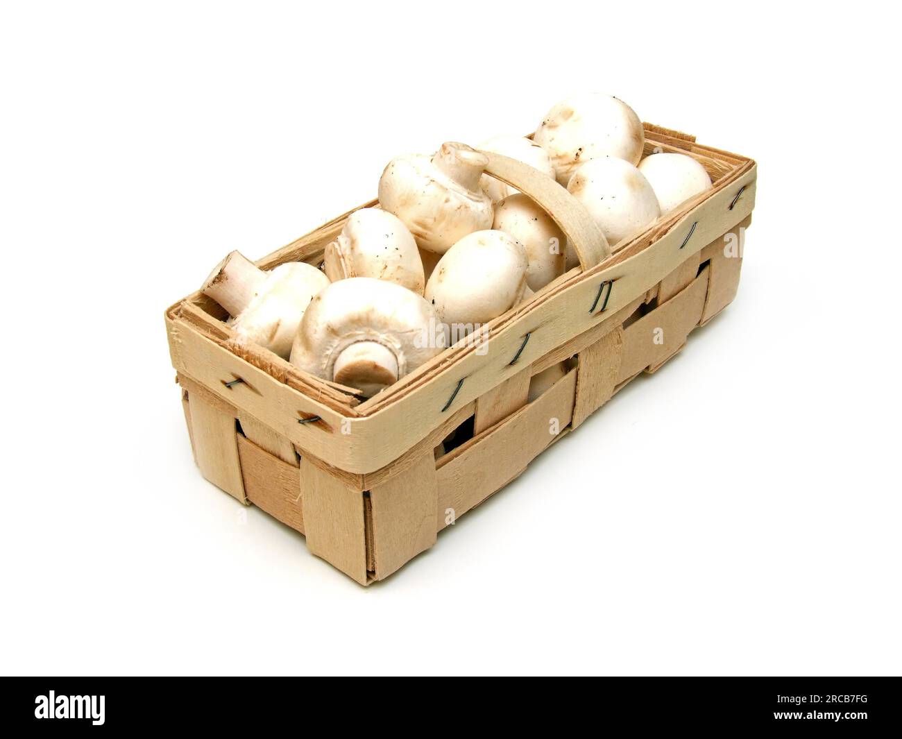 Common mushrooms (Agaricus bisporus) Stock Photo
