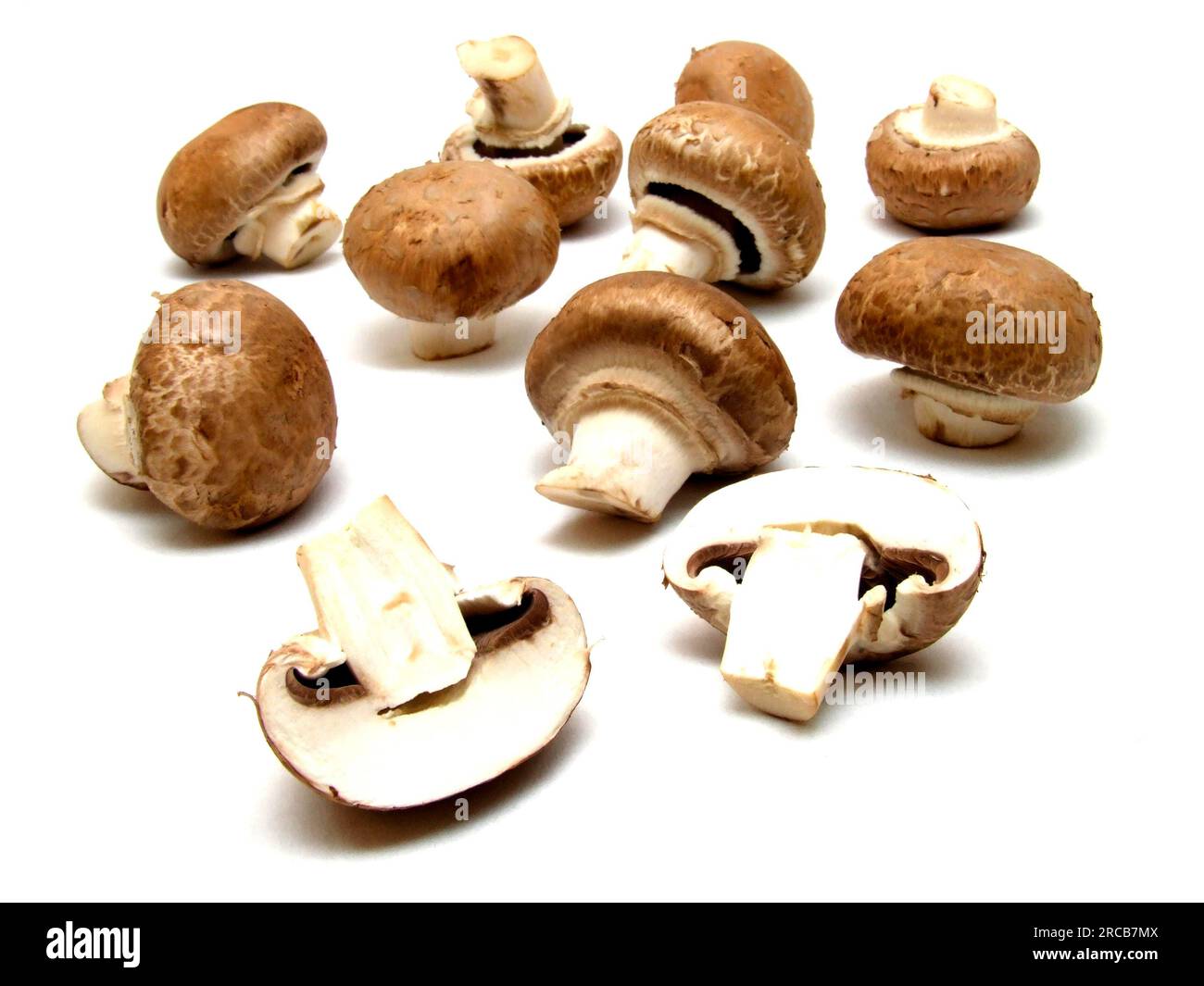 A few mushrooms Stock Photo