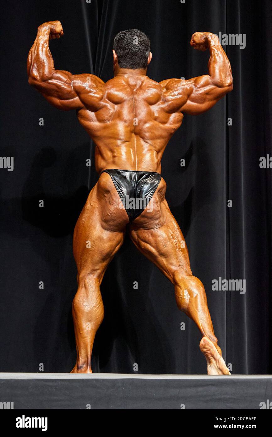 Ifbb ifbb arnold hi-res stock photography and images - Alamy