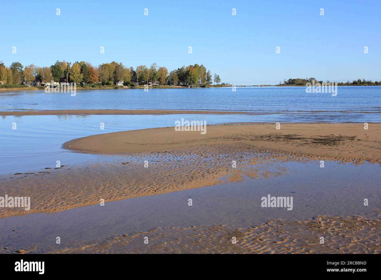 Autumn day at Lake Vanern. Sand beach and trees in Vita Sannar, Mellerud Stock Photo