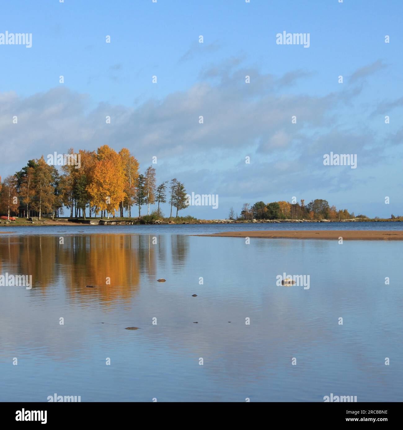 Clear autumn day at Lake Vanern, Sweden. Sand beach and trees in Vita Sannar, Mellerud Stock Photo