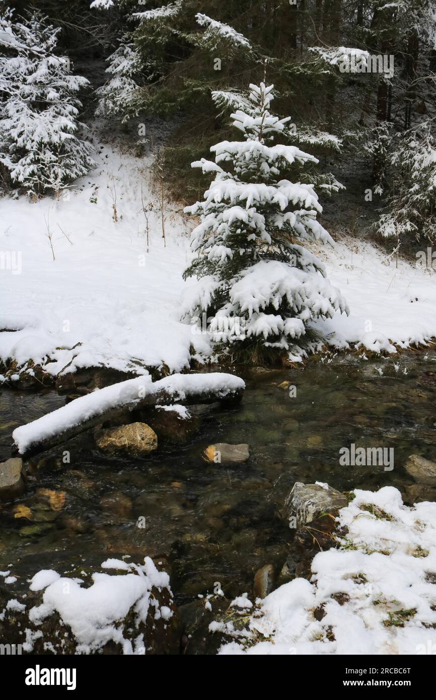 Winter scene in the Saanenland Valley Stock Photo