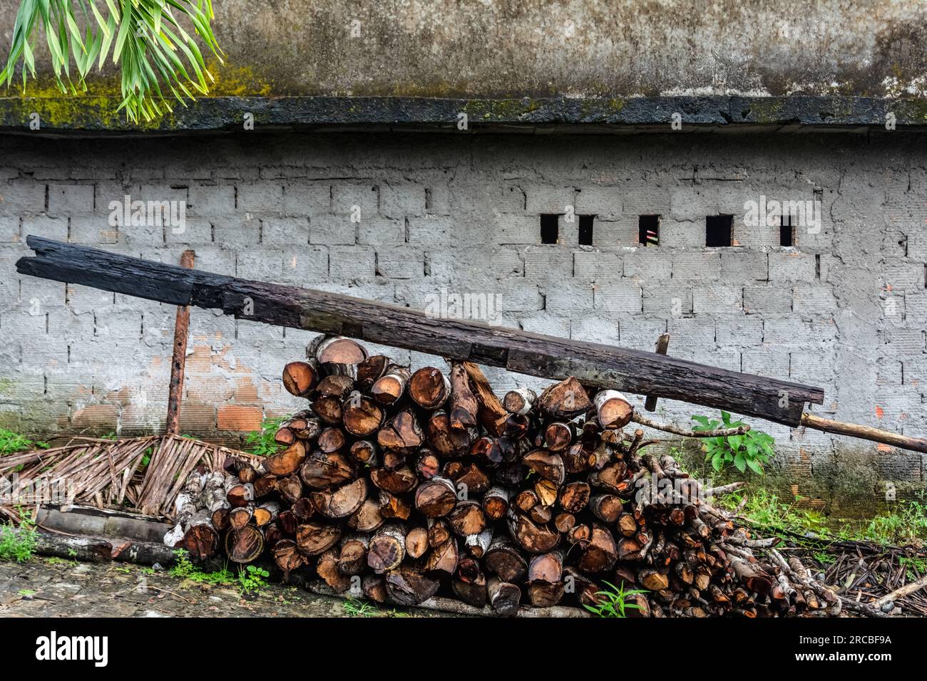 Stacked wooden logs. Maragogipinho, city of Aratuipe, Bahia. Stock Photo
