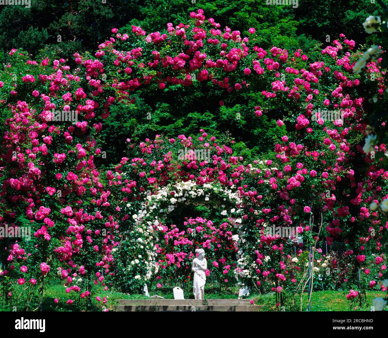 Rose arch statue hi-res stock photography and images - Alamy