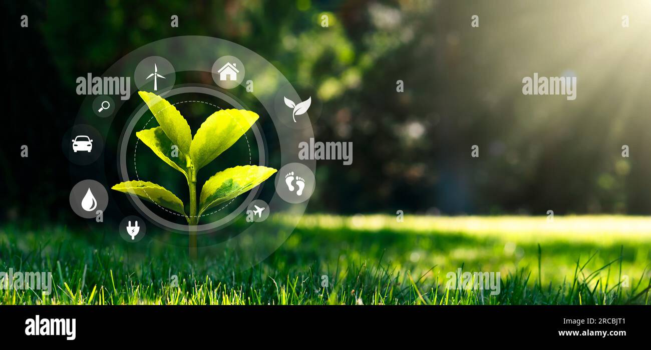 Green leaf ecology eco icon hi-res stock photography and images - Alamy