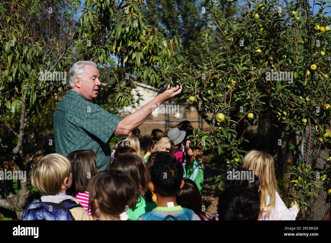Urban Farm tour guide with primary school students Stock Photo