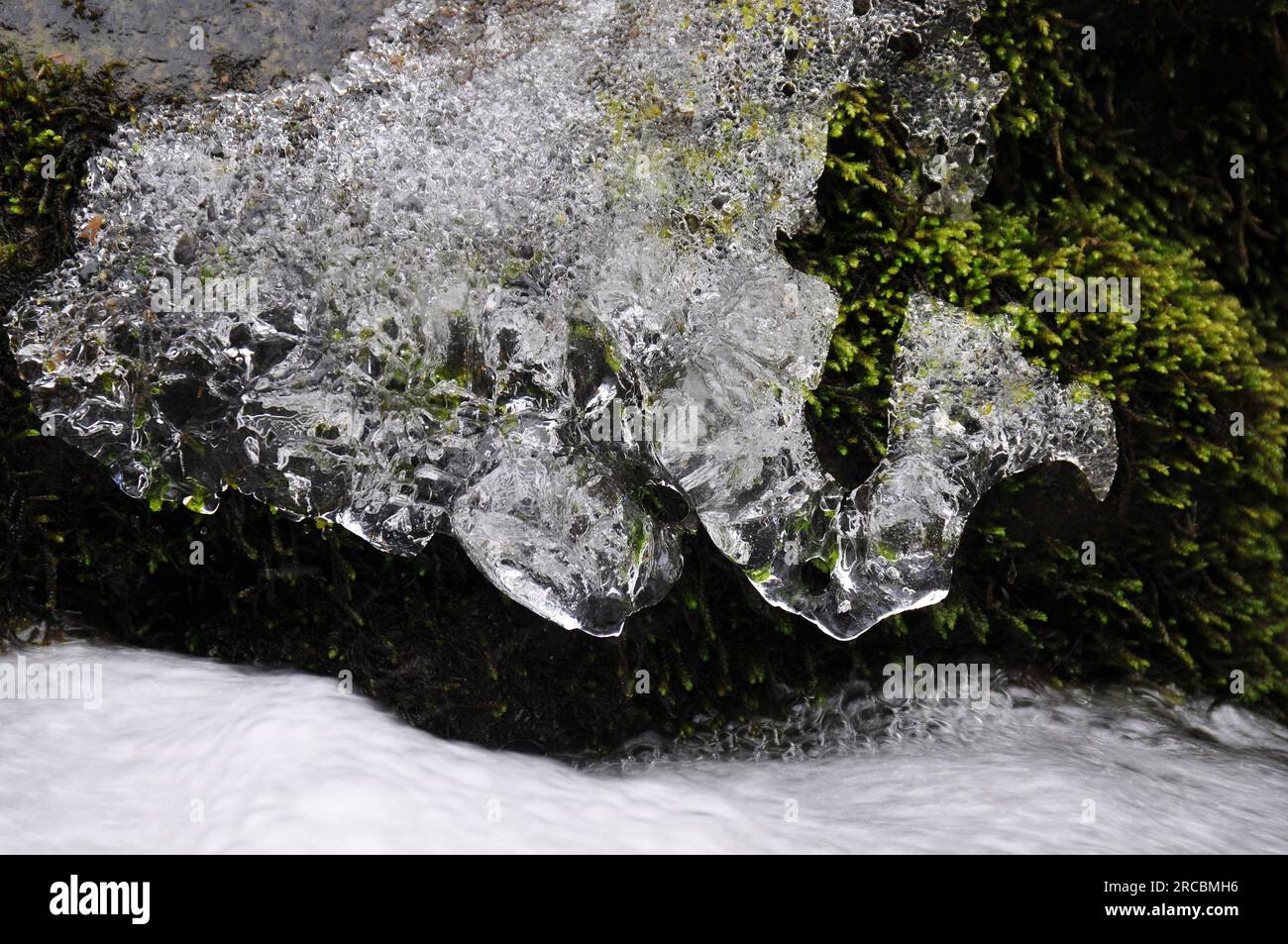 Clear water stream with ice Stock Photo