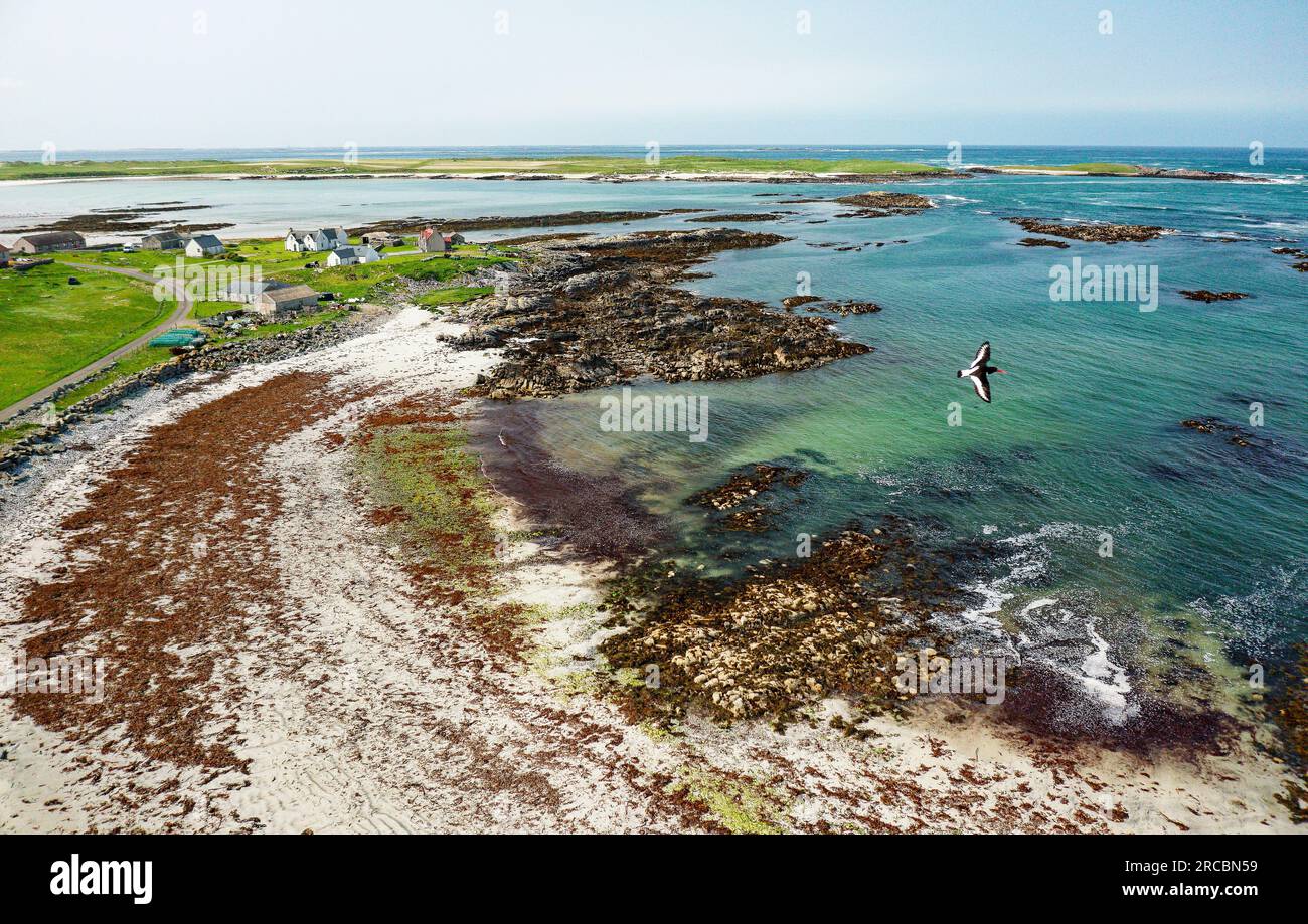 North Uist, Outer Hebrides Scotland. Looking SW over Balranald on islands west coast to Aird an Runair. RSPD nature reserve. Oyster catchers in flight Stock Photo