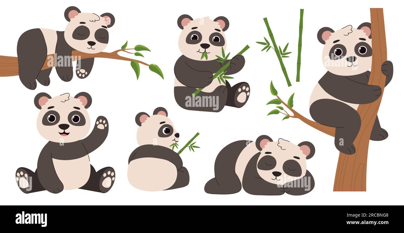 Pandas palm stock vector images alamy