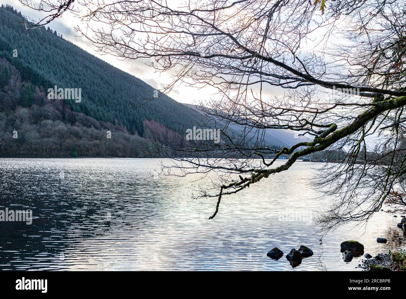Unique Alamy Unique landscape photo of the nature in Scotland Stock Photo - Alamy