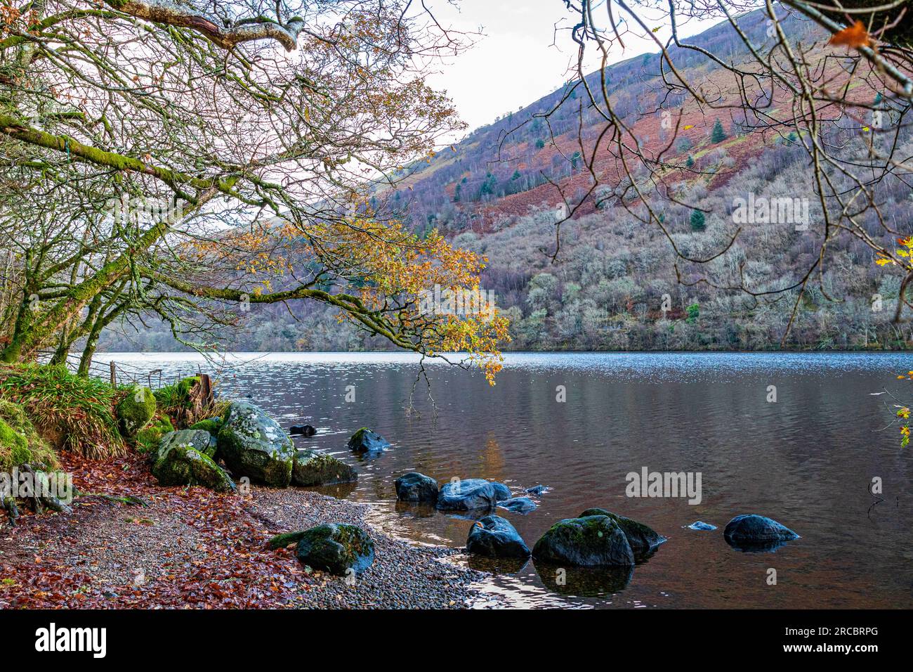 Unique Alamy Unique landscape photo of the nature in Scotland Stock Photo - Alamy