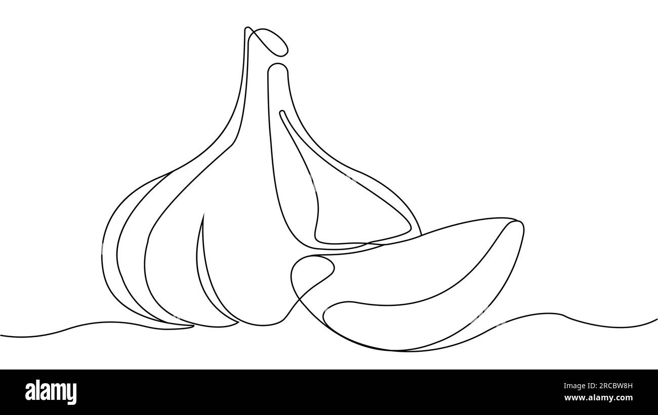 Garlic Drawing For Kids