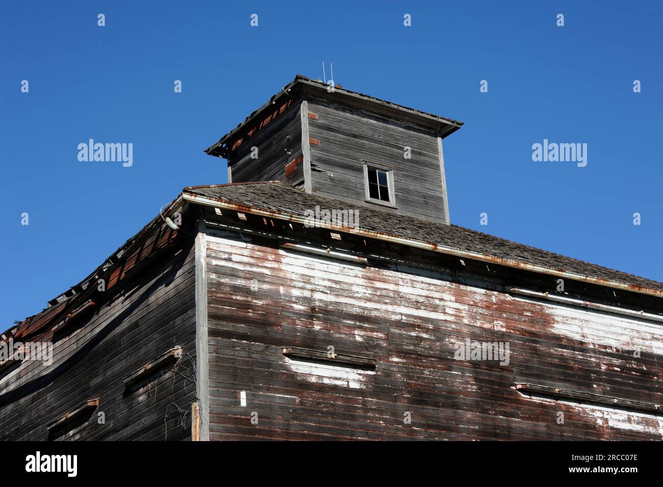 Unusual weathered, worn wooden barn structure is topped with cupola.  Exterior of this Kansas barn was white but paint has deteriorated off. Stock Photo