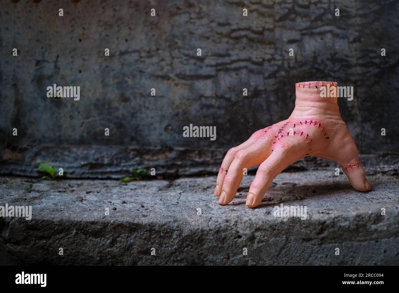 Realistic human hand or Thing with scars and stiches. Wednesday Addams movie concept. Stock Photo
