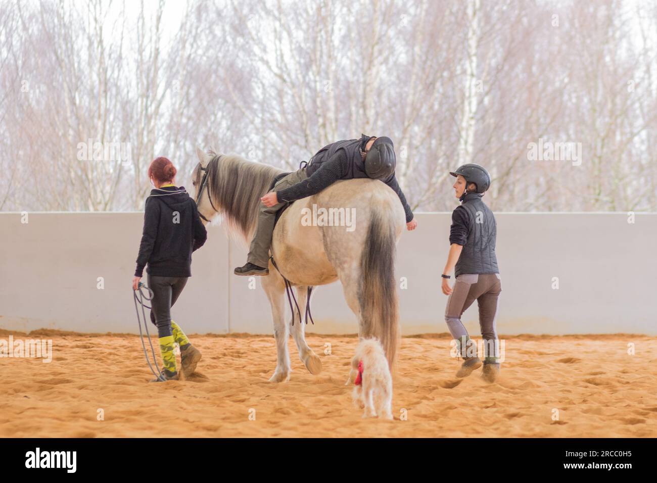 Equineassisted therapy with medical disability patient on equestrian