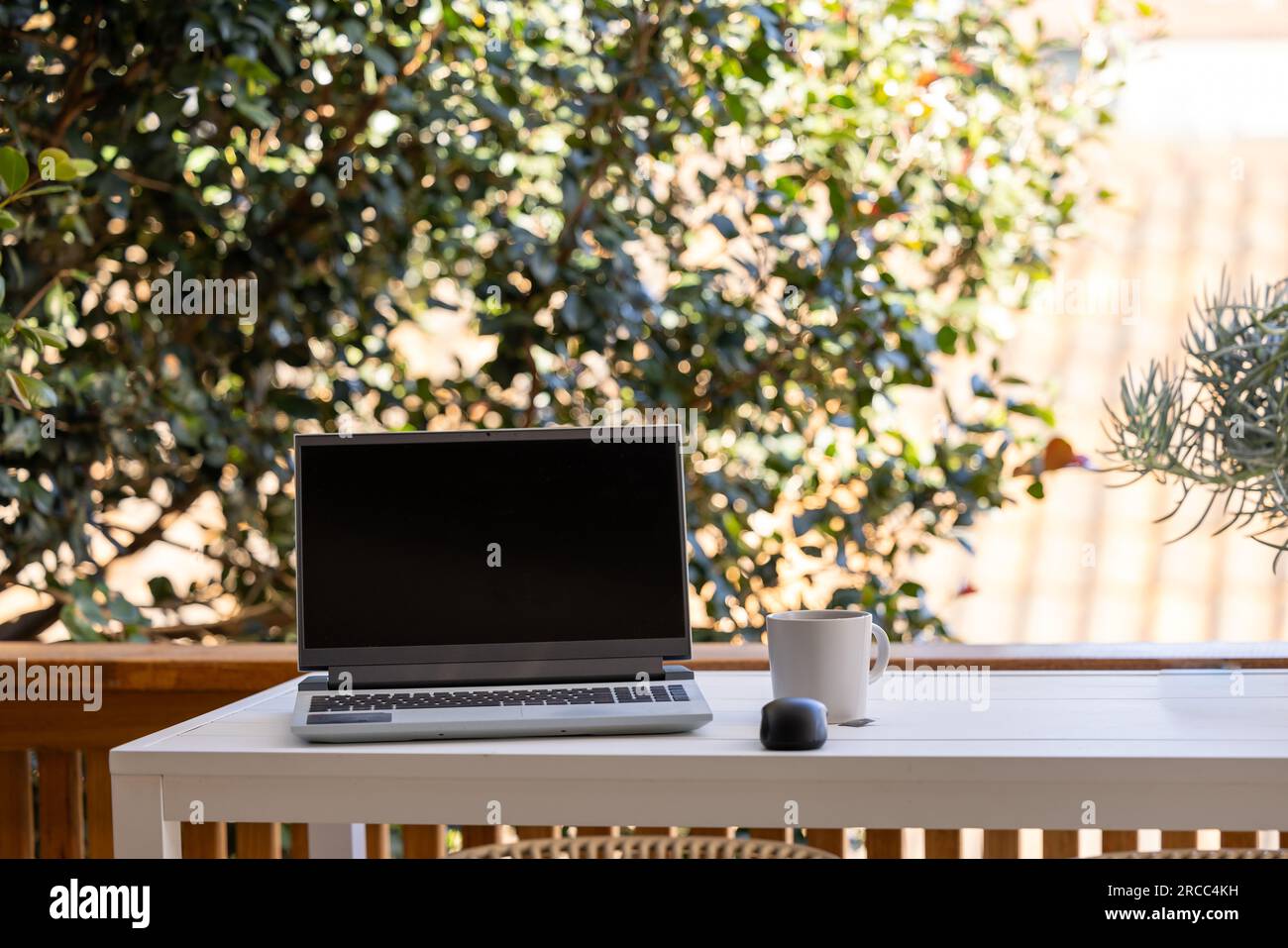 Work from home set up with laptop and mug on outdoor table with tree in