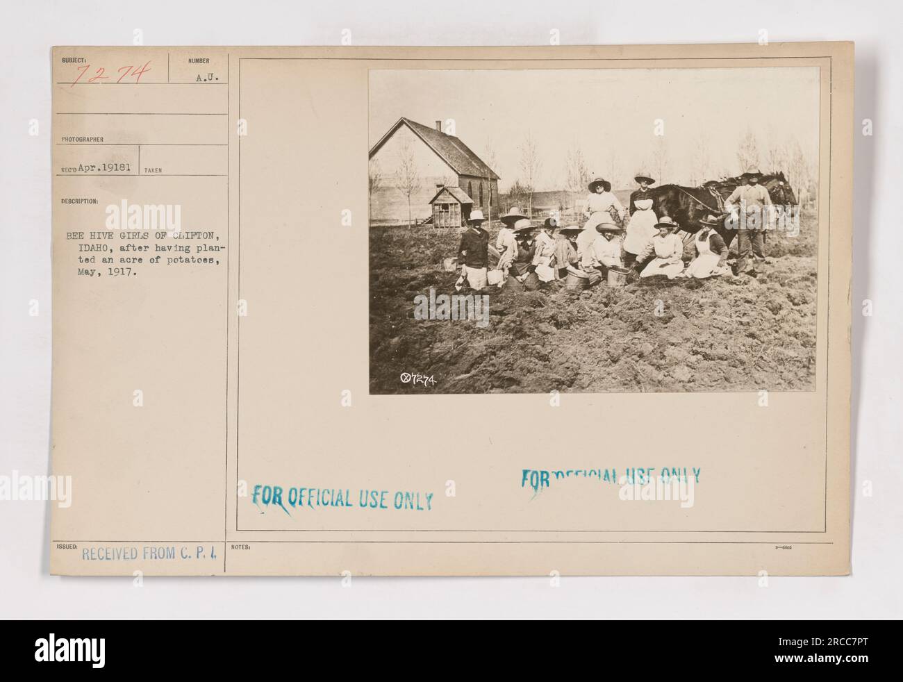 "Beehive Girls of Clifton, Idaho pose for a photograph after