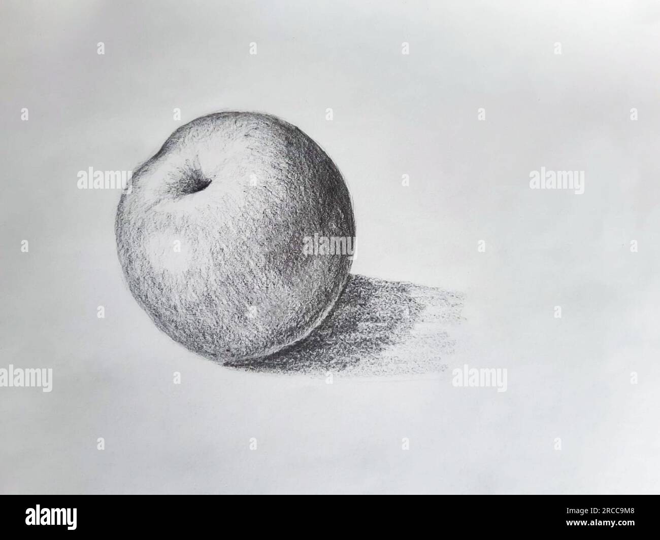 Charcoal apple drawing. Black and white apple illustration Stock Photo
