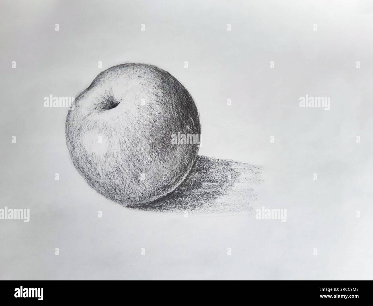 Charcoal apple drawing. Black and white apple illustration. Stock Photo