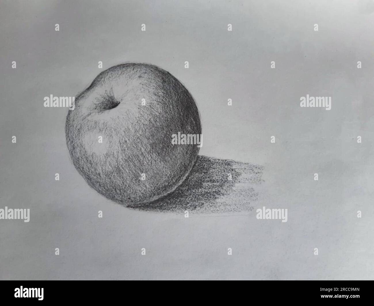 Charcoal apple drawing. Black and white apple illustration. Stock Photo