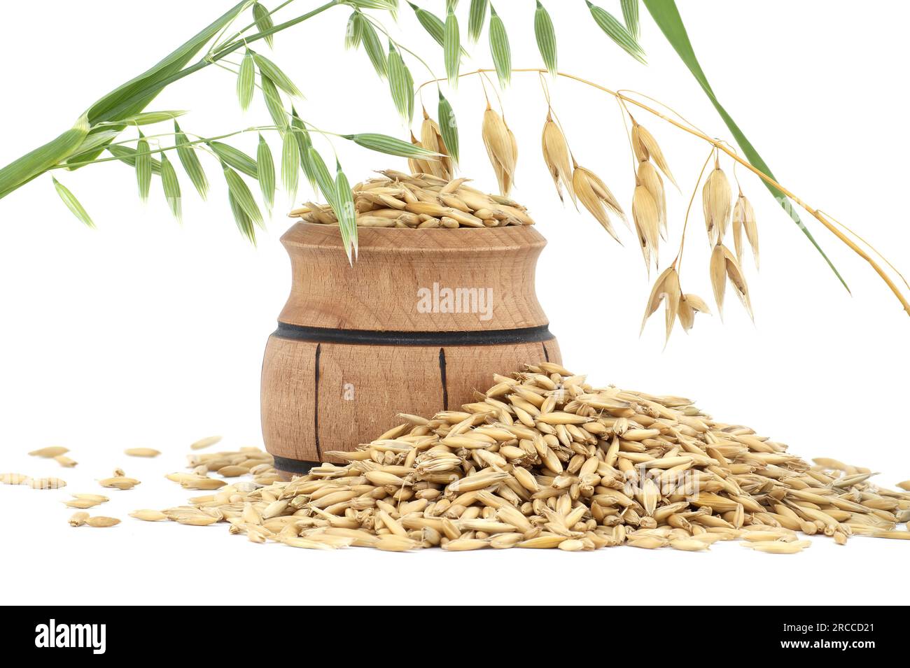Whole oat grain seeds with hulls or husks isolated on a white
