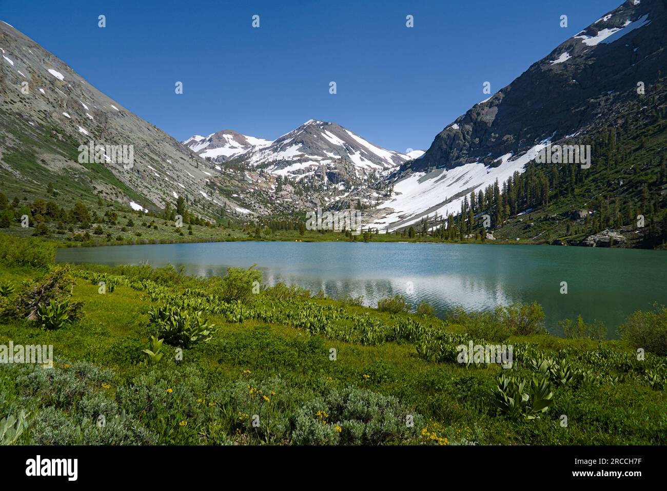 Kennedy lake surrounded by the snow covered alpine mountains. Stock Photo