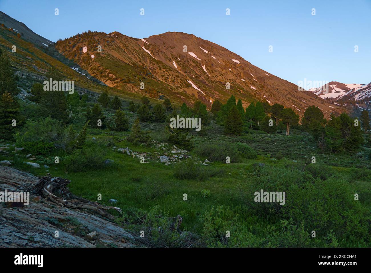 Mountains and meadow near Kennedy Lake in the golden hour. Stock Photo