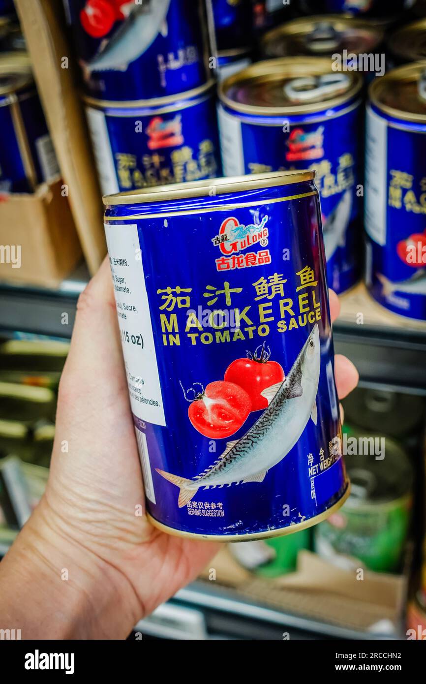 Canned mackerel in tomato sauce Stock Photo Alamy