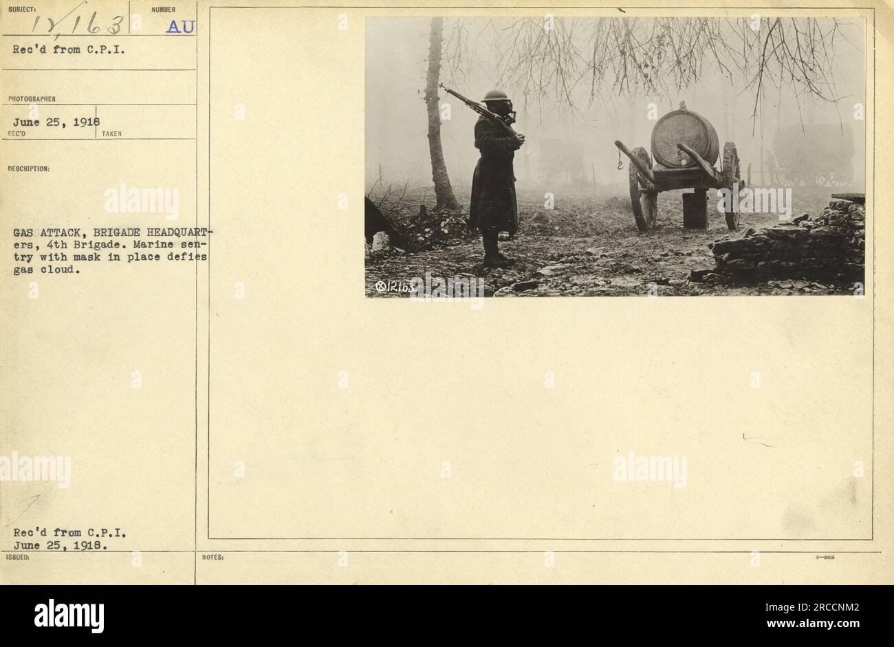 A Marine sentry wearing a gas mask stands defiantly amidst a cloud of