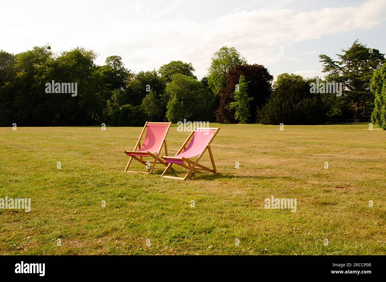 Horizontal image of wooden deck chairs on the lawn in the summer sun ...