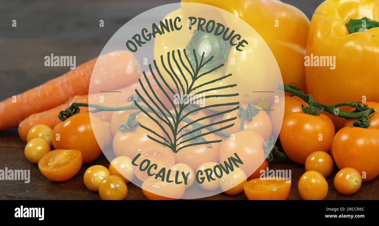 Composite of organic produce locally grown text over fruit and