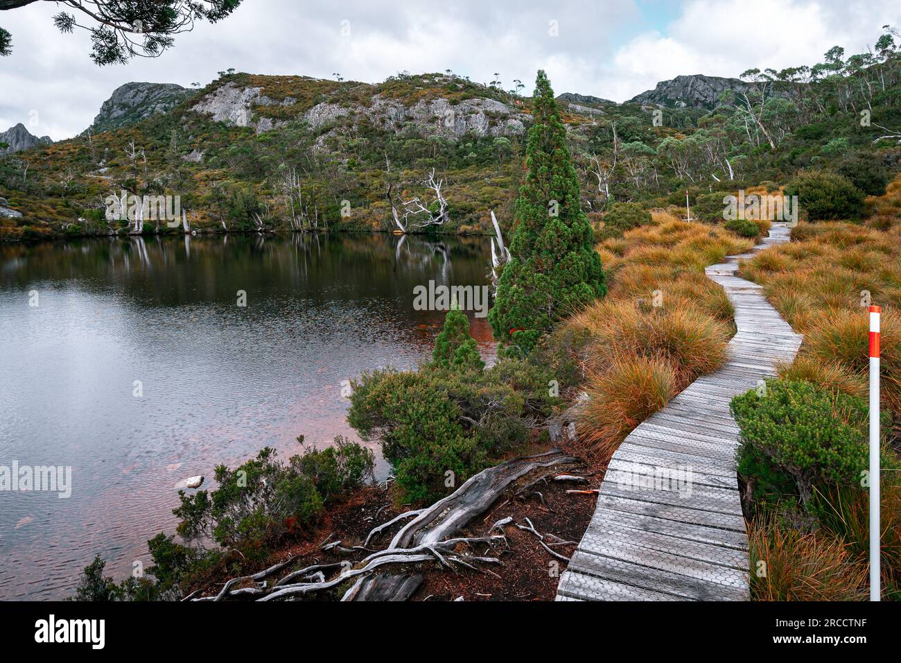 The Overland Track in Tasmania an Australian bushwalking track