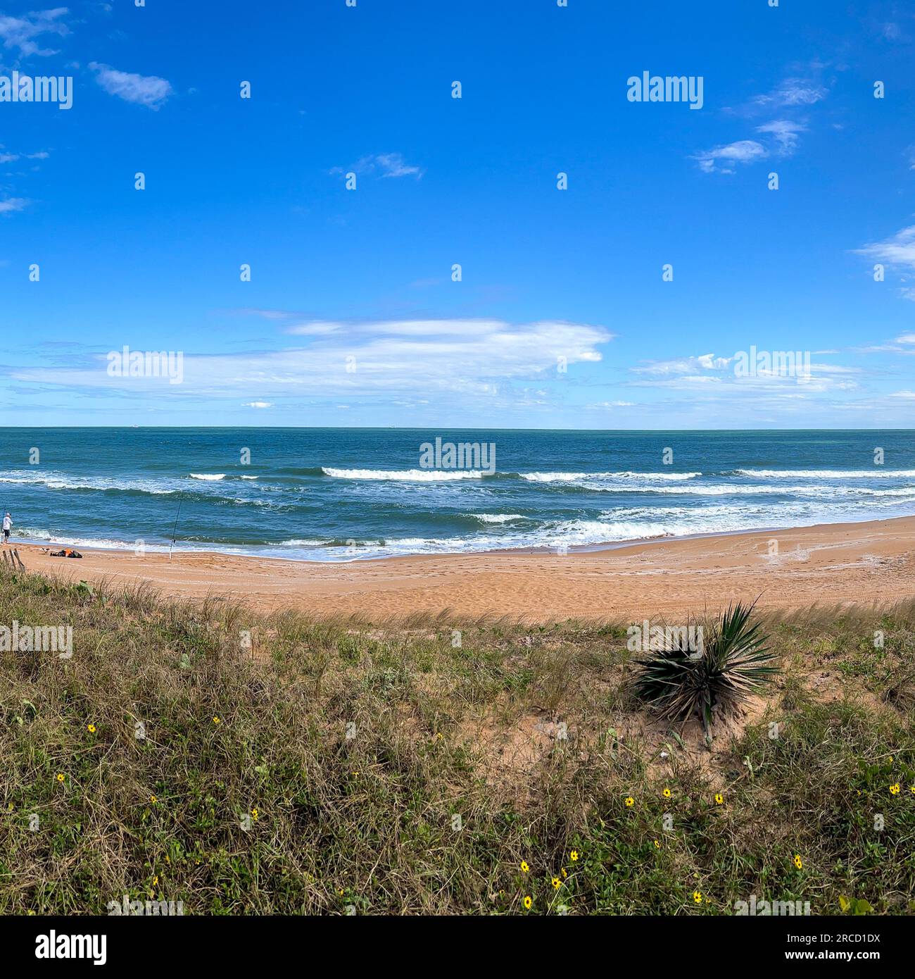The beach near St Simons Island GA Stock Photo Alamy