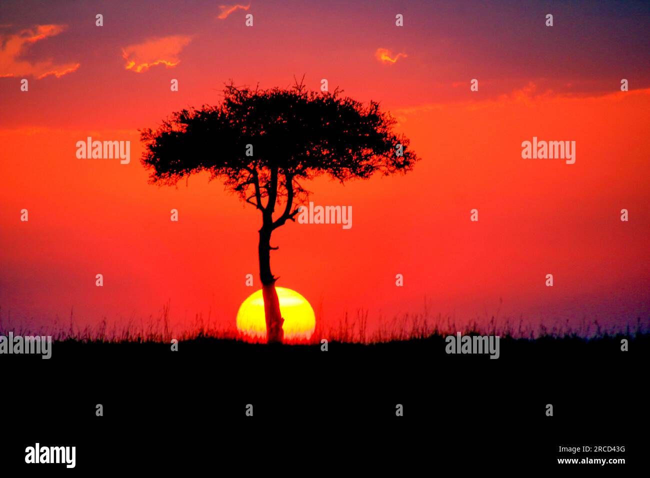 African sunset wallpaper hi-res stock photography and images - Alamy