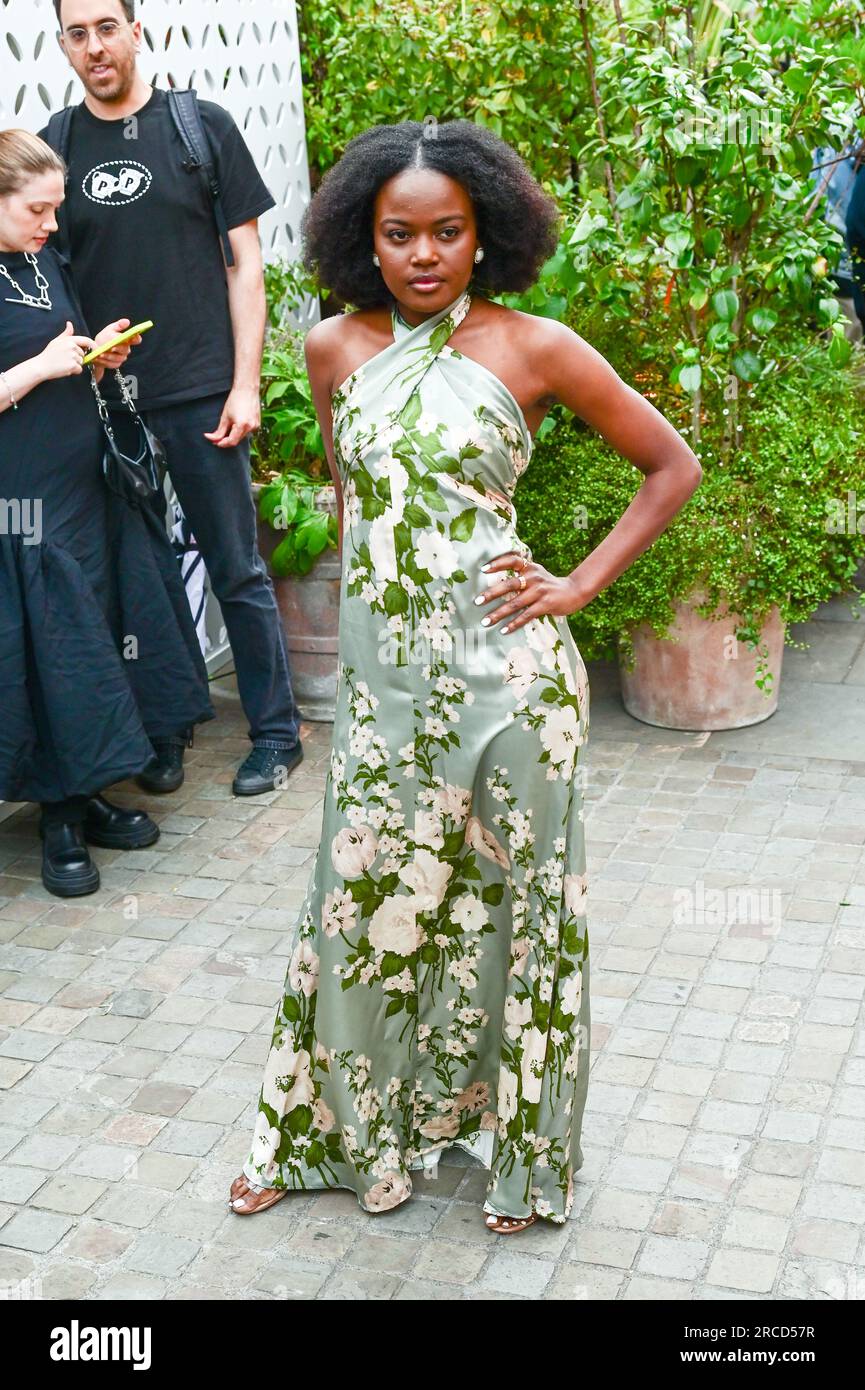 LONDON, ENGLAND - JULY 13: Sherrie Silver attends The British Vogue x