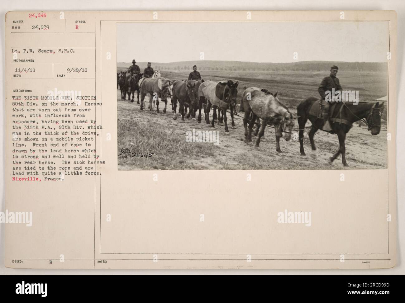 Lead horse drawing rope hires stock photography and images Alamy