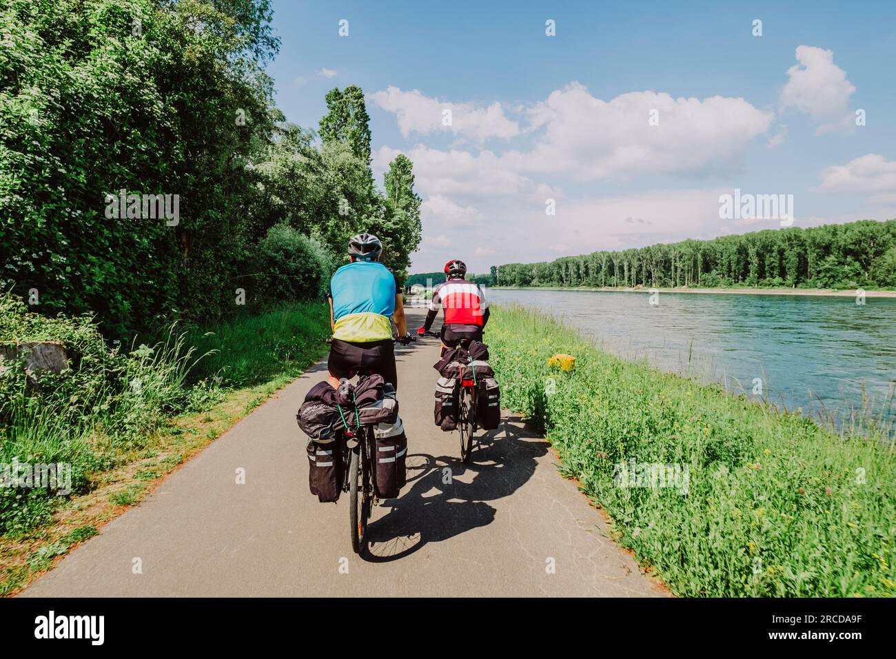 Two cyclists riding his bikes near to Rin River, Germany Stock Photo