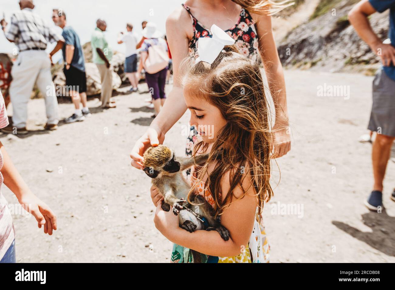 Young girl plays with monkey at tourist spot on island of St Kitts Stock Photo