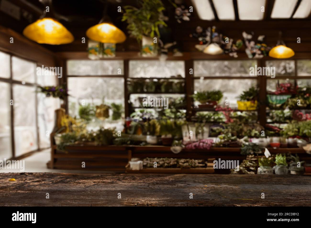 Tabletop mockup for herbal product presentation. Blurry herb shop