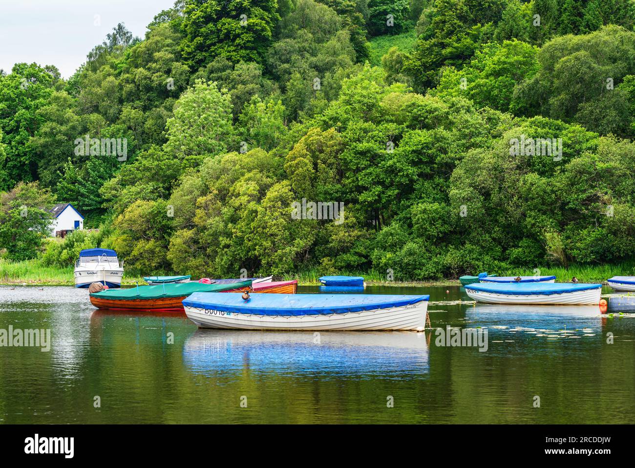 Boats in Balmaha, Loch Lamond, Scotland, UK Stock Photo Alamy