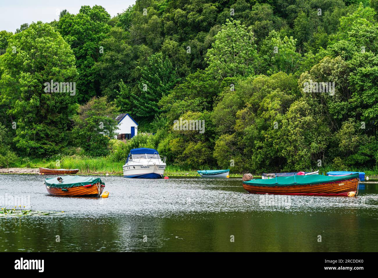 Boats in Balmaha, Loch Lamond, Scotland, UK Stock Photo Alamy