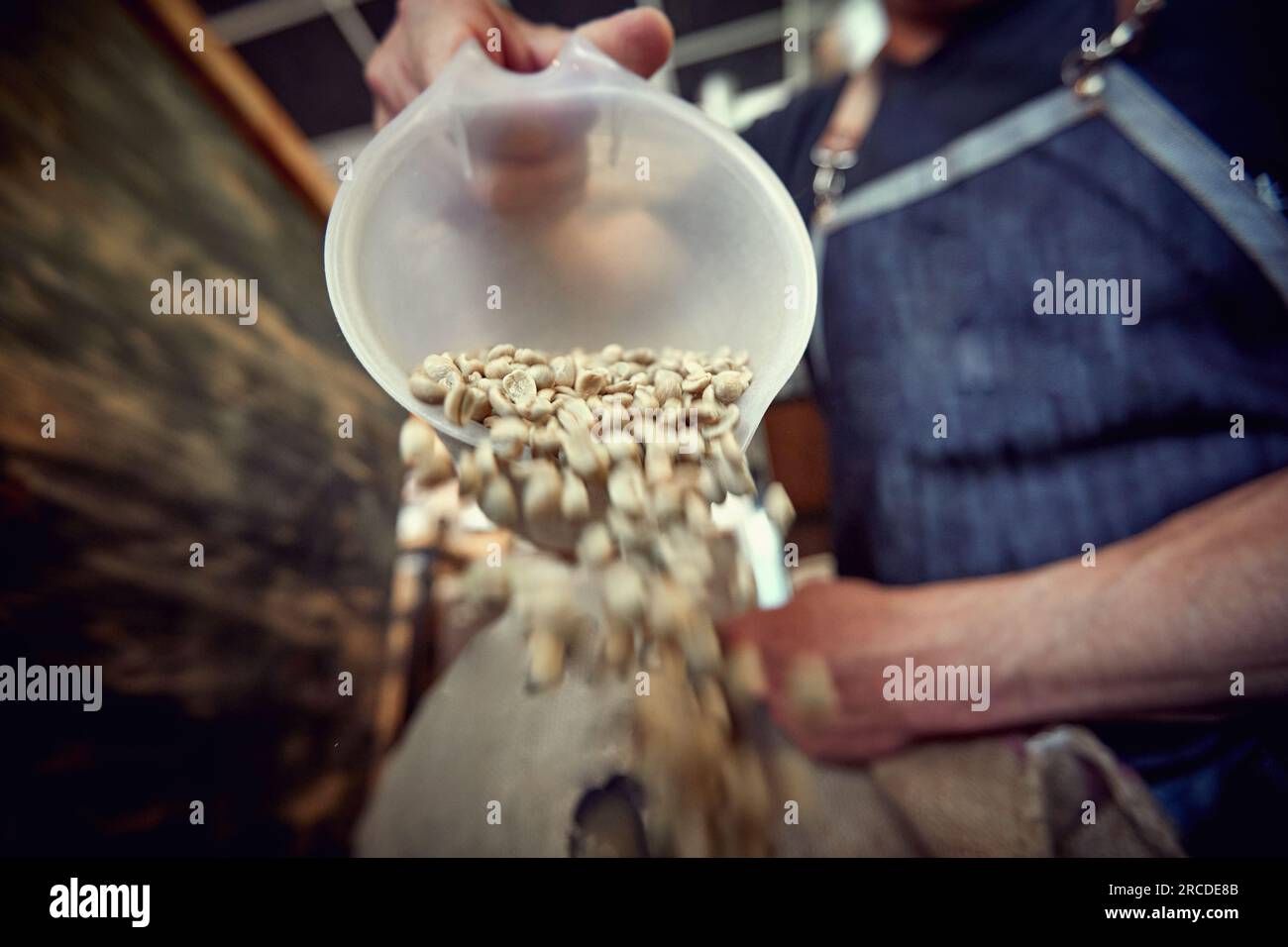 wide angle close up detail of whole grain coffee spilling from plastic dish into a sack by caucasian male Stock Photo