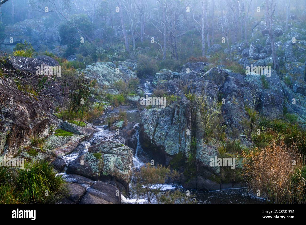 Small waterfall surrounded by fog, Glen Elgin Creek, New England