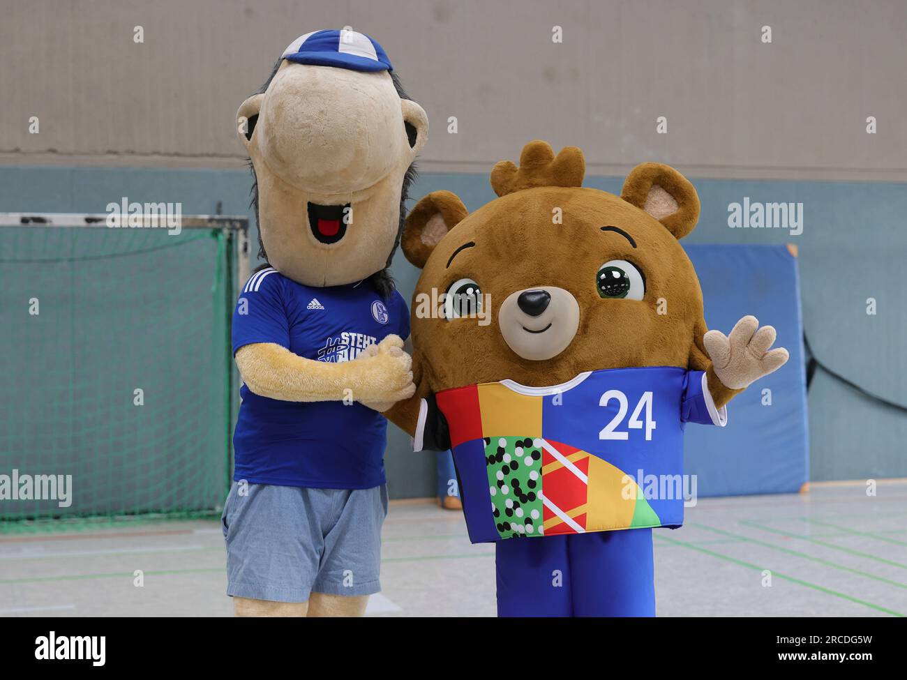 firo: 06/20/2023, football, soccer: UEFA EURO 2024, EM 2024, European  Championship 2024, Germany, presentation of the mascot, the bar still  without a name, the mascot of the EURO 2024, with mascot ERWIN, Schalke 04  Stock Photo - Alamy