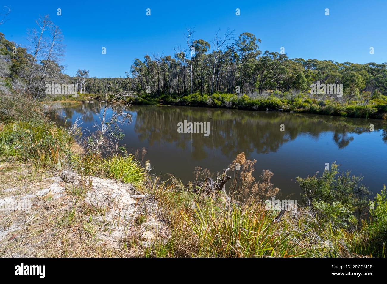 Platypus Pool at Cypress Pine Camping area, Boonoo Boonoo National Park